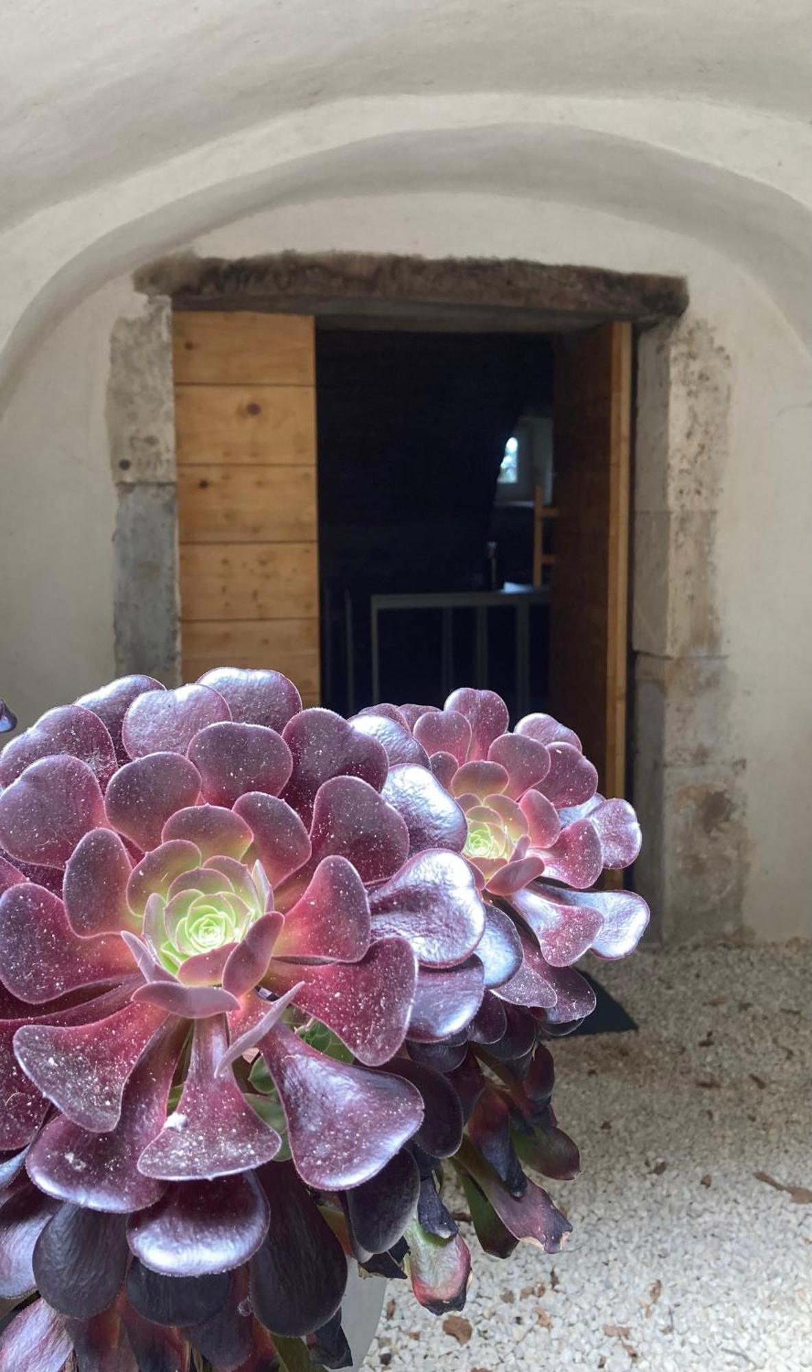 Domaine Forvent Bed & Breakfast Saint-Julien-de-Peyrolas Dış mekan fotoğraf